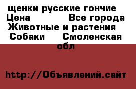 щенки русские гончие › Цена ­ 4 000 - Все города Животные и растения » Собаки   . Смоленская обл.